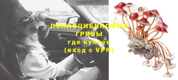 спиды Абаза