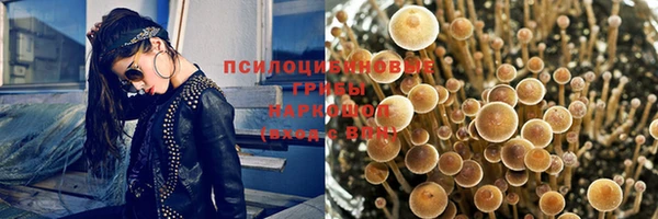 спиды Абаза